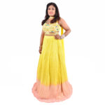 Double-Shade Georgette Lehenga with Kanta  & Beadwork Blouse